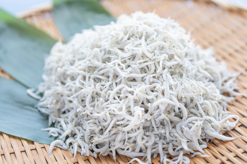 人気No.1【大幅増量・農林水産大臣賞受賞】久慈浜しらす干し500g 2袋セット