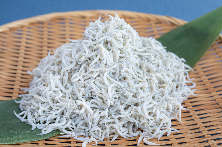 【お得定期便】久慈浜しらす干し500g+月替わり干物2種 通常5,500→