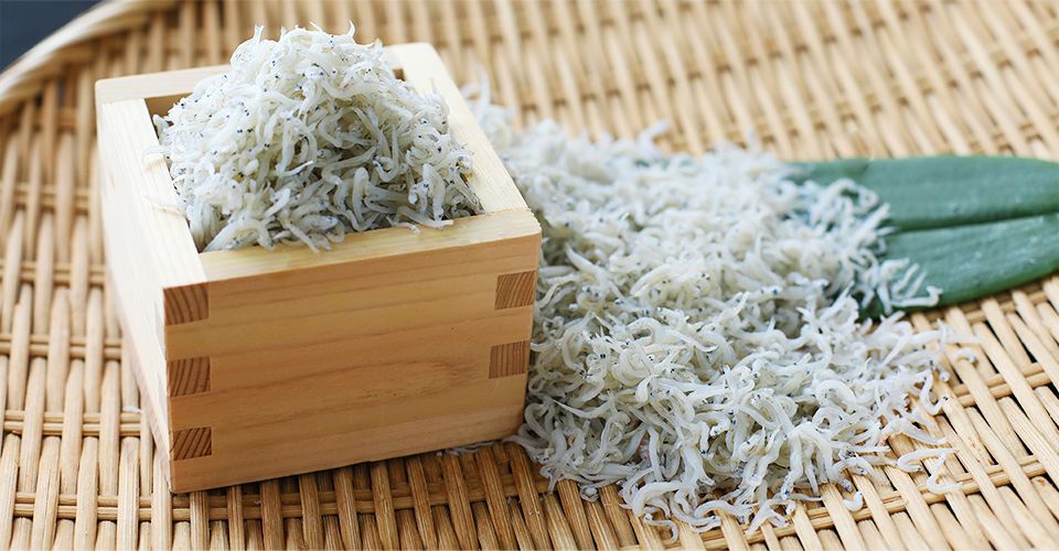 【定期便】しらす干し２㎏　定価13,200円→